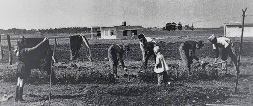 CIME. “Colonización Agrícola en Argentina. Plata Piloto Escuela Santa Catalina”, 1957. Fasc.3666, p. 9. IAO. CDI